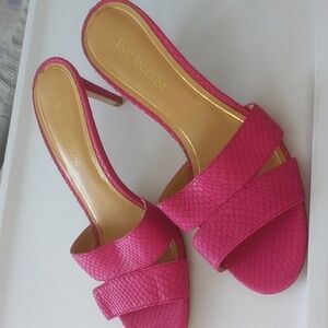 c25 NWOT Heels Enzo Angiolini